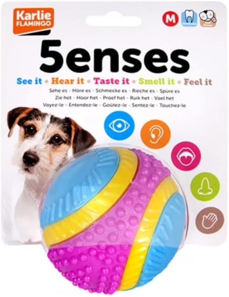 Sharples Beef Scented Five Senses rubber ball for dogs, medium