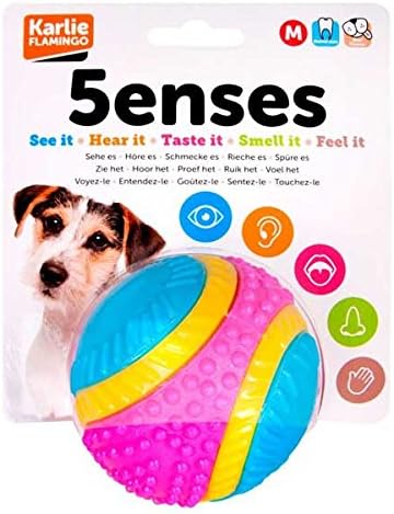 Sharples Beef Scented Five Senses rubber ball for dogs, medium