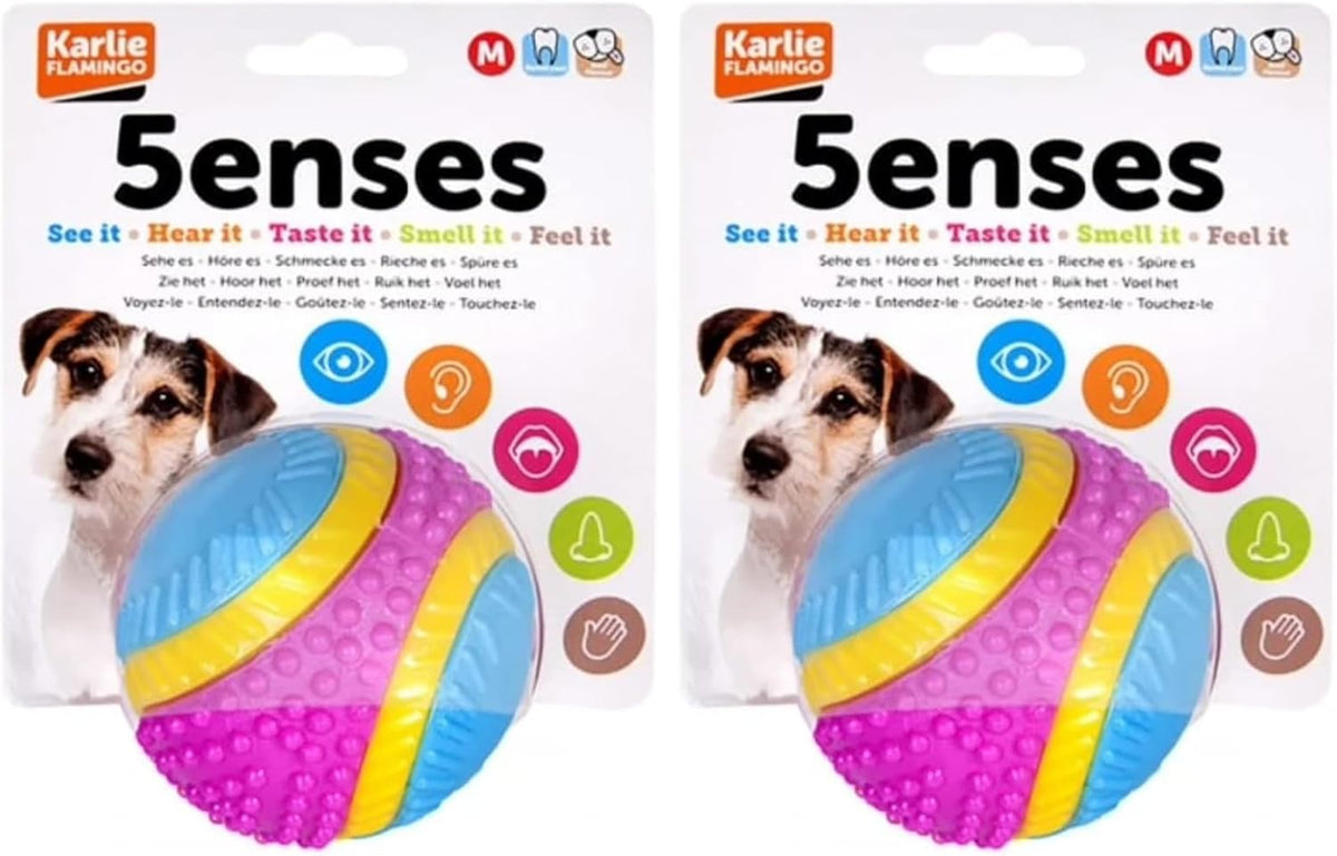 Sharples Beef Scented Five Senses rubber ball for dogs, medium