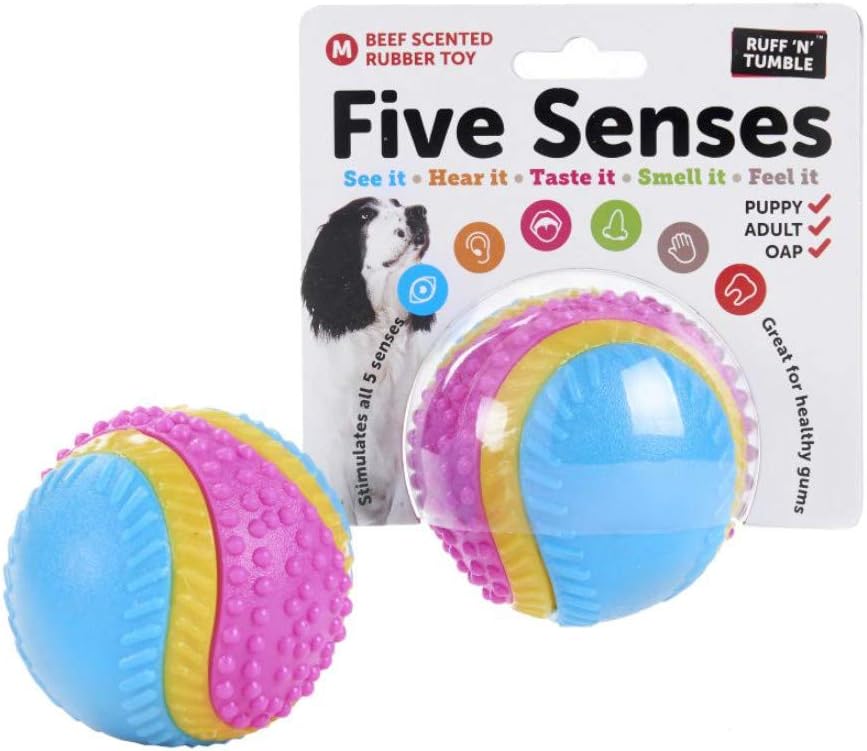 Sharples Beef Scented Five Senses rubber ball for dogs, medium