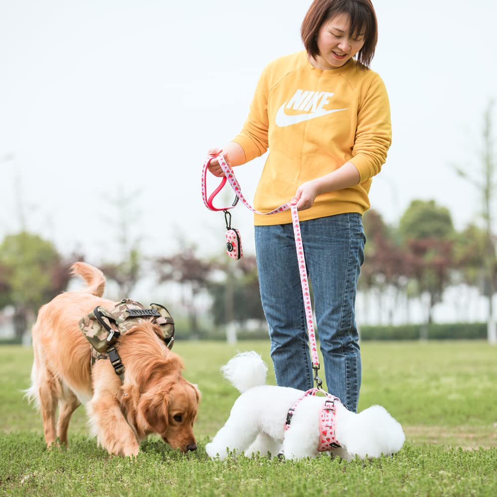 Dog Harness and Leash, Poop Bag Holder 3 Sets, Easy Walk No Pull Adjustable Puppy Cat Vest Harness with Soft Mesh Padded, Pet Supplies for Extra-Small/Small Medium Dogs Kitten