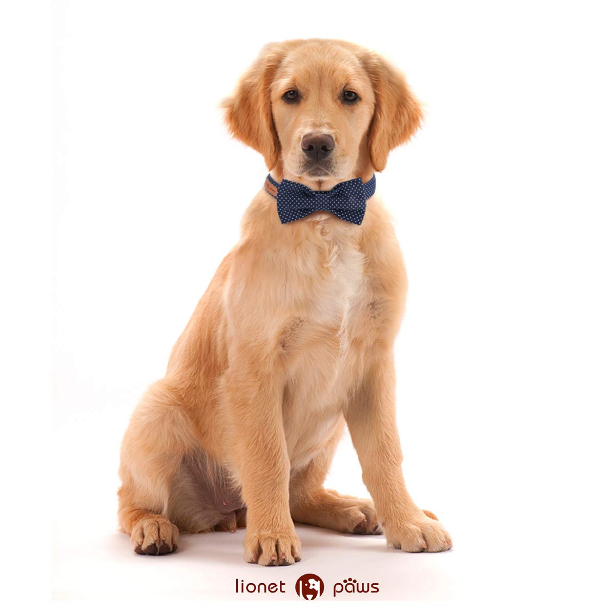 Lionet Paws Cotton Dog Collar with Bowtie, Durable Adjustable and Comfortable Collar for Small Dogs Puppies and Cats, Neck 25-40cm