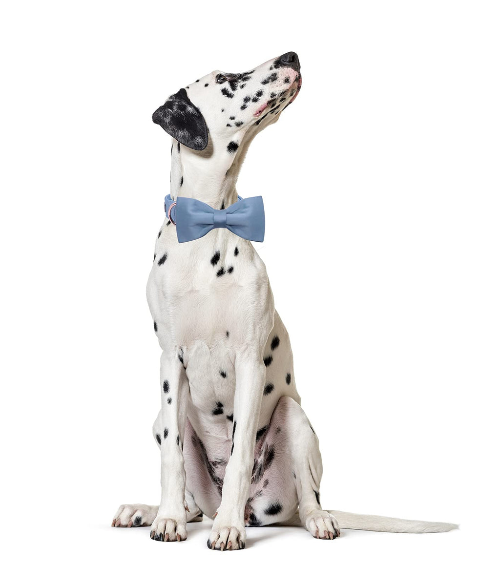 Lionet Paws Bowtie Dog Collar - Comfortable Silk Dog Collar with Detachable Bow Tie for Puppy and Cat, Neck 20-30cm