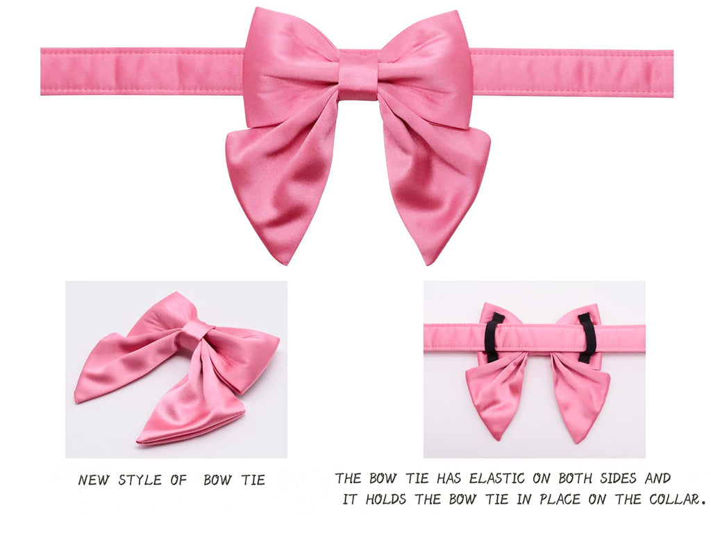 Lionet Paws Bowtie Dog Collar - Comfortable Silk Dog Collar with Detachable Bow Tie for Puppy and Cat, Neck 20-30cm