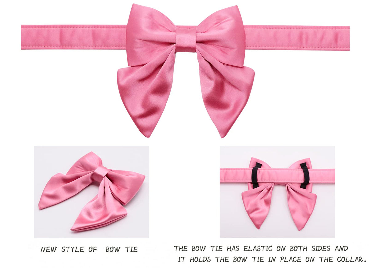 Lionet Paws Bowtie Dog Collar - Comfortable Silk Dog Collar with Detachable Bow Tie for Puppy and Cat, Neck 20-30cm