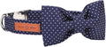 Lionet Paws Cotton Dog Collar with Bowtie, Durable Adjustable and Comfortable Collar for Small Dogs Puppies and Cats, Neck 25-40cm