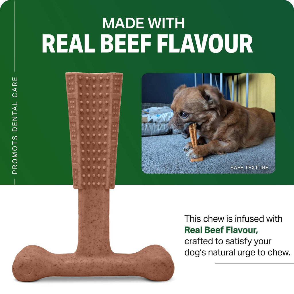 Bamboodles T-Bone Dog Chew Toy – Small | Chicken Flavour | Long Lasting Chew toy for Small Dogs | Durable Chew Toy to Satisfy Chewing Instincts