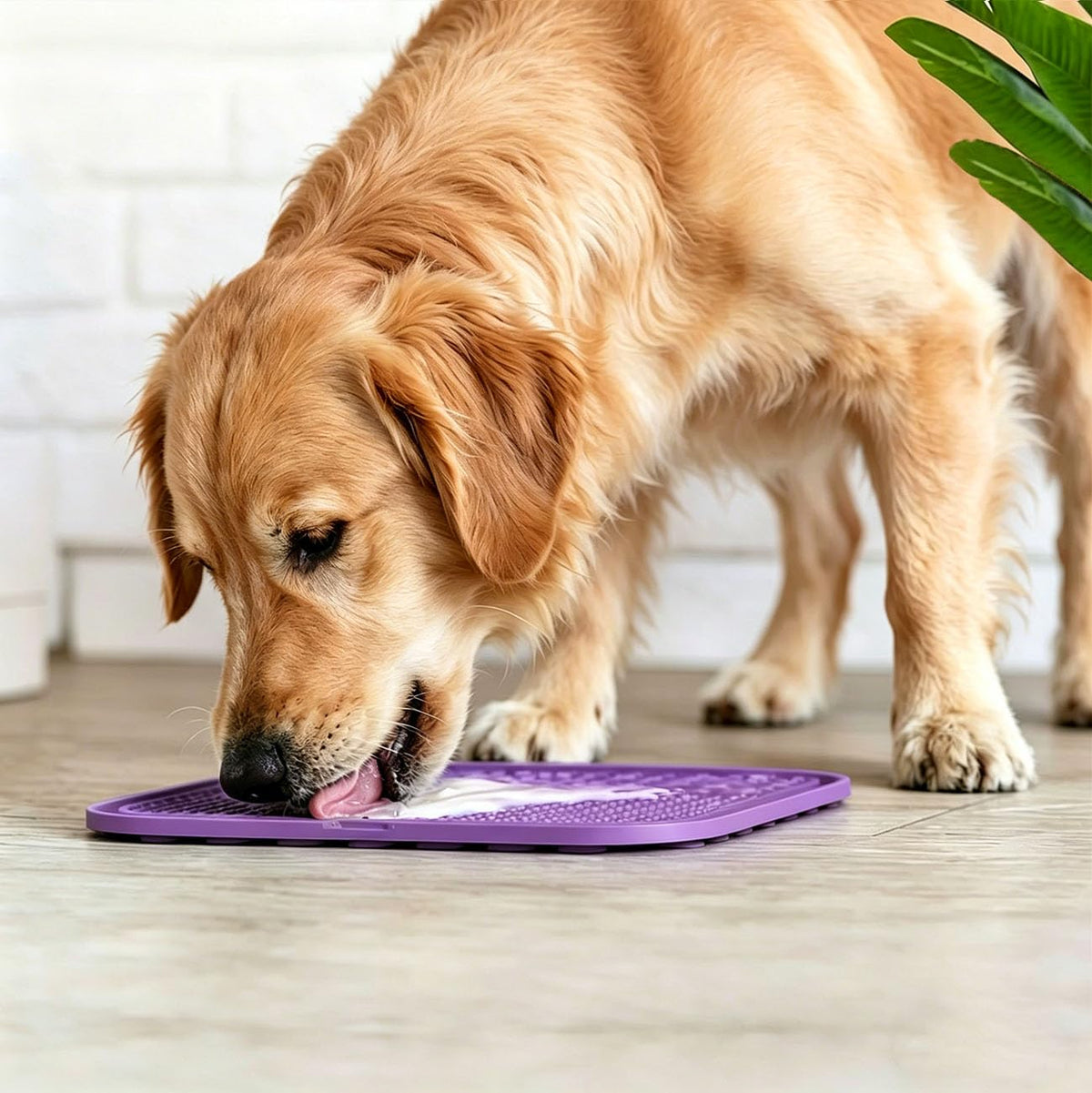 Licking Mat for Dogs & Cats with Suction Cups, 1 Pack Square Silicone Dog Slow Feeder Lick Pat for Anxiety Relief, Dog Toys to Keep Them Busy, Pets Bathing Training Grooming Mat 20 * 20cm