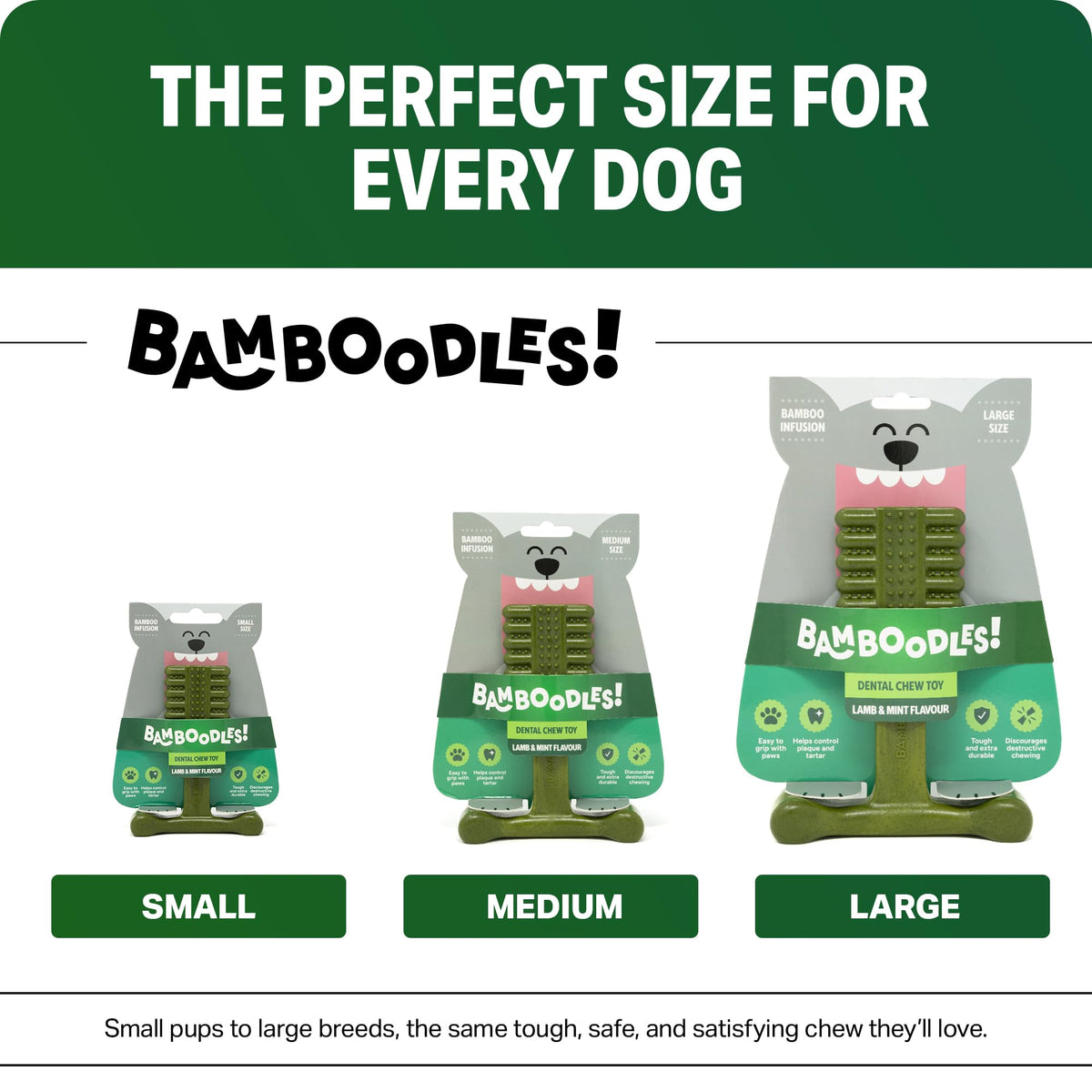 Bamboodles T-Bone Dog Chew Toy – Small | Chicken Flavour | Long Lasting Chew toy for Small Dogs | Durable Chew Toy to Satisfy Chewing Instincts