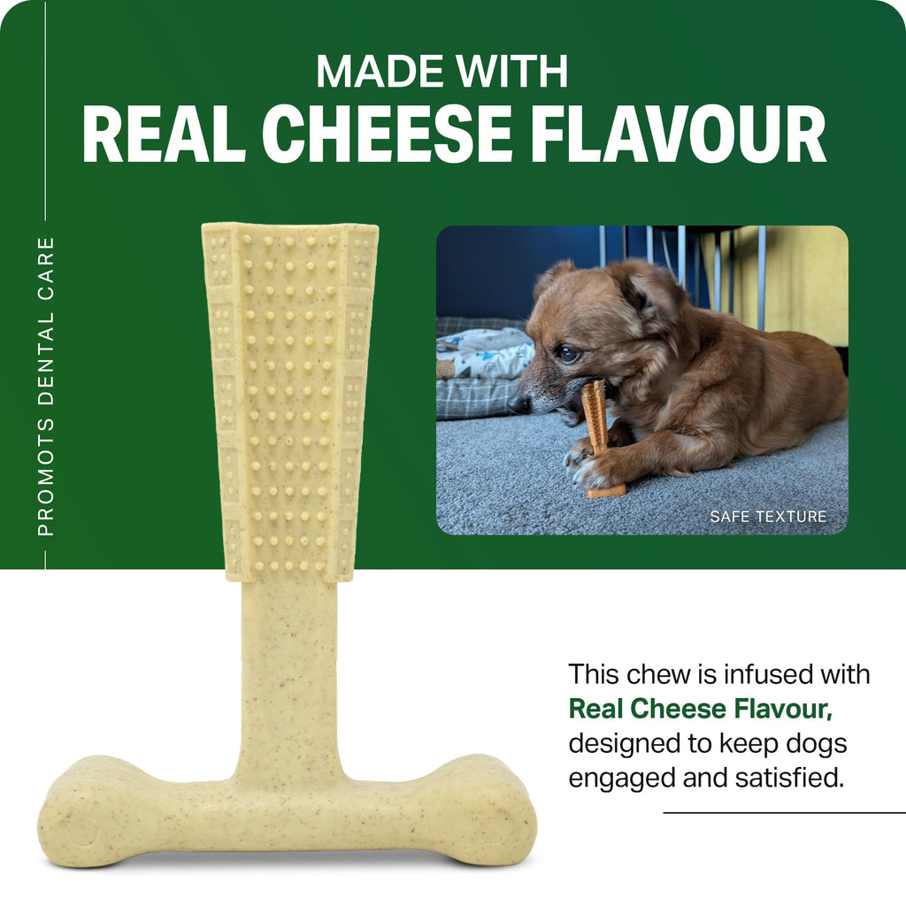 Bamboodles T-Bone Dog Chew Toy – Small | Chicken Flavour | Long Lasting Chew toy for Small Dogs | Durable Chew Toy to Satisfy Chewing Instincts