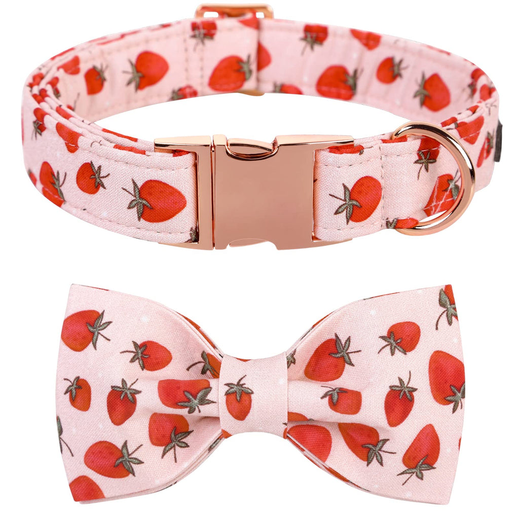Lionet Paws Cotton Dog Collar with Bowtie, Durable Adjustable and Comfortable Collar for Small Dogs Puppies and Cats, Neck 25-40cm
