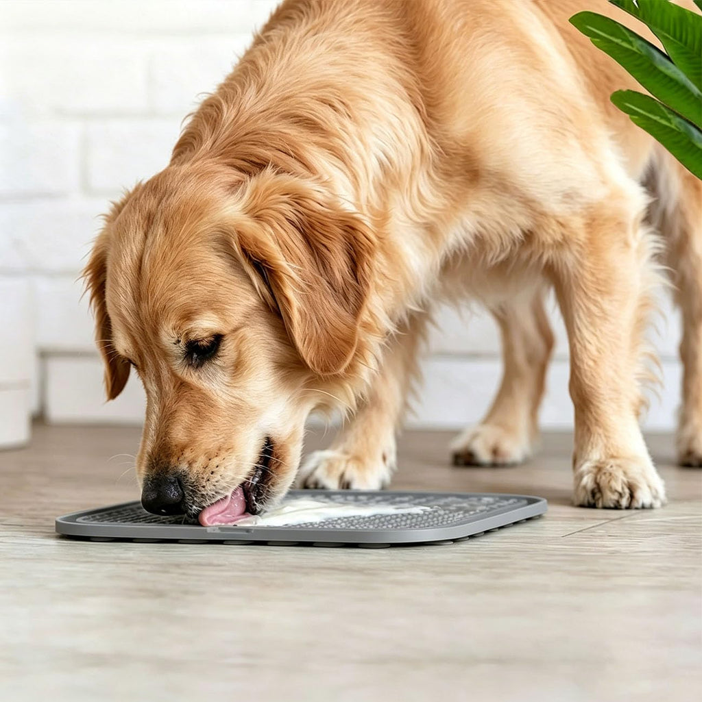Licking Mat for Dogs & Cats with Suction Cups, 1 Pack Square Silicone Dog Slow Feeder Lick Pat for Anxiety Relief, Dog Toys to Keep Them Busy, Pets Bathing Training Grooming Mat 20 * 20cm