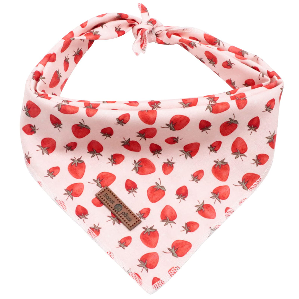Lionet Paws Dog Bandana for Small Medium Large Dogs, Cat Dog Kerchief Dog Triangle Bibs Scarf for Girl or Boy Blue Dot