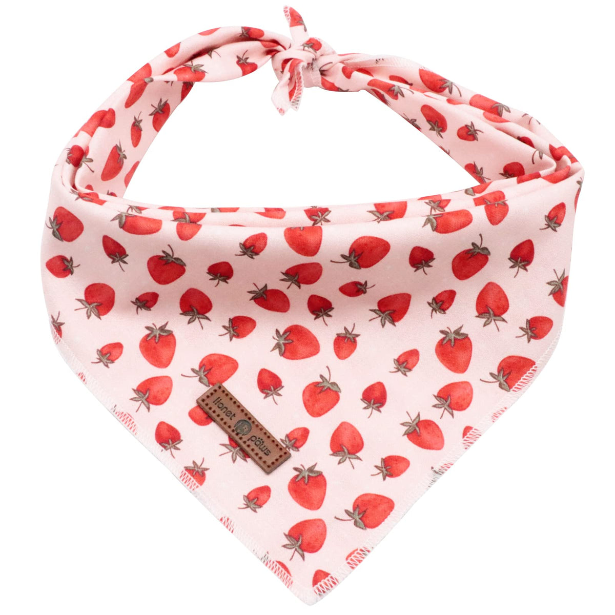 Lionet Paws Dog Bandana for Small Medium Large Dogs, Cat Dog Kerchief Dog Triangle Bibs Scarf for Girl or Boy Blue Dot
