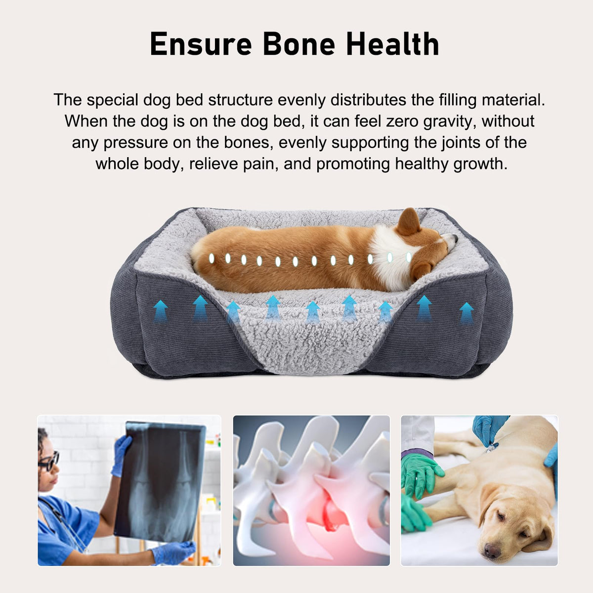 JOEJOY Dog Cat Bed Medium Pet Sofa Bed, Medium Dog Bed Washable, 63x53x21cm