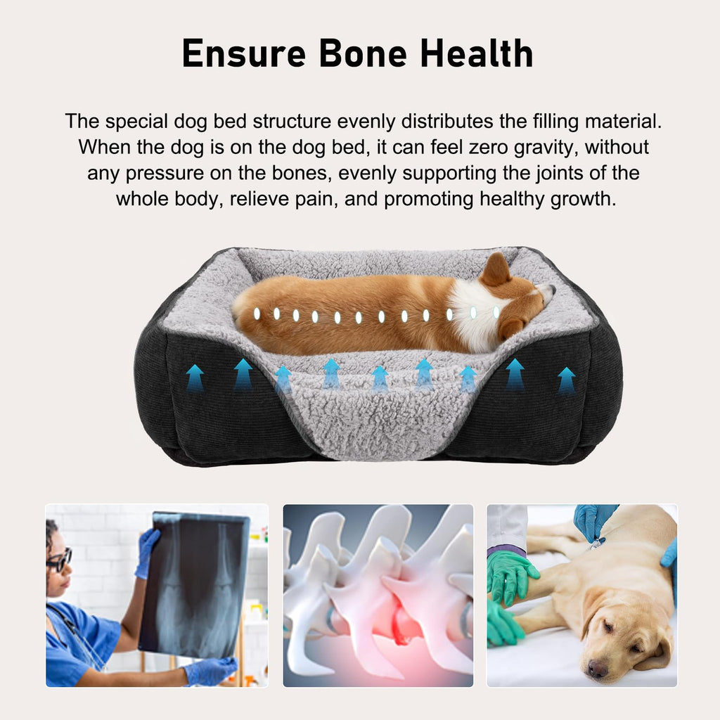 JOEJOY Dog Cat Bed Medium Pet Sofa Bed, Medium Dog Bed Washable, 63x53x21cm