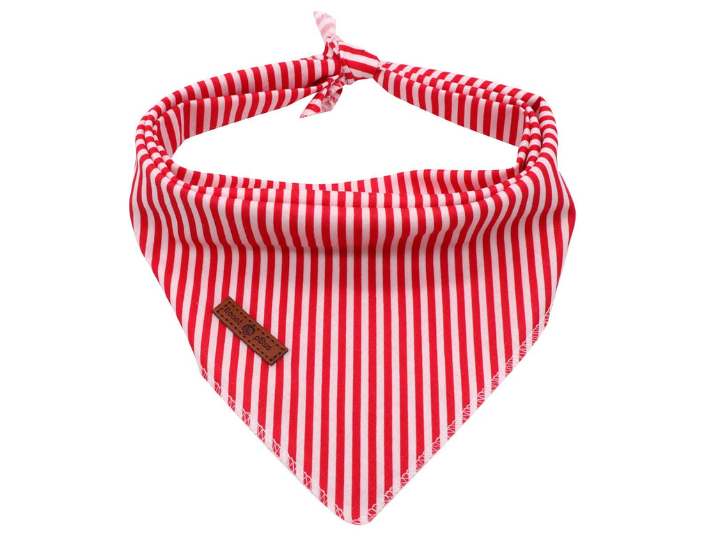 Lionet Paws Dog Bandana for Small Medium Large Dogs, Cat Dog Kerchief Dog Triangle Bibs Scarf for Girl or Boy Blue Dot