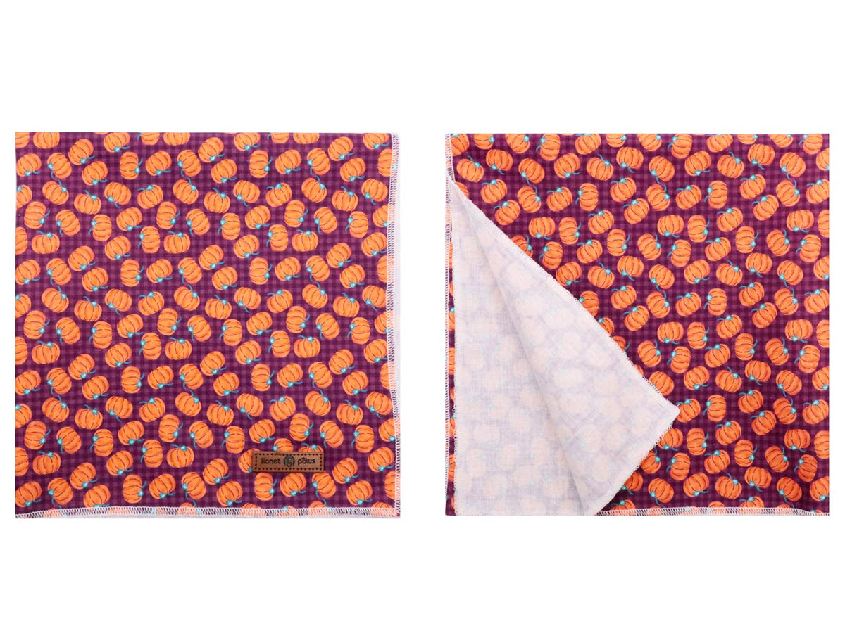 Lionet Paws Dog Bandana for Small Medium Large Dogs, Cat Dog Kerchief Dog Triangle Bibs Scarf for Girl or Boy Blue Dot