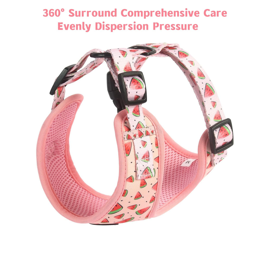 Dog Harness and Leash, Poop Bag Holder 3 Sets, Easy Walk No Pull Adjustable Puppy Cat Vest Harness with Soft Mesh Padded, Pet Supplies for Extra-Small/Small Medium Dogs Kitten