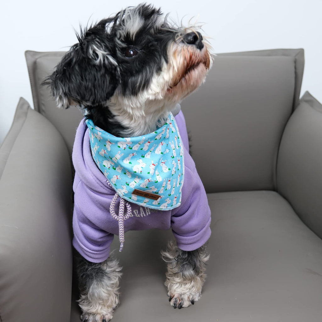 Lionet Paws Dog Bandana for Small Medium Large Dogs, Cat Dog Kerchief Dog Triangle Bibs Scarf for Girl or Boy Blue Dot