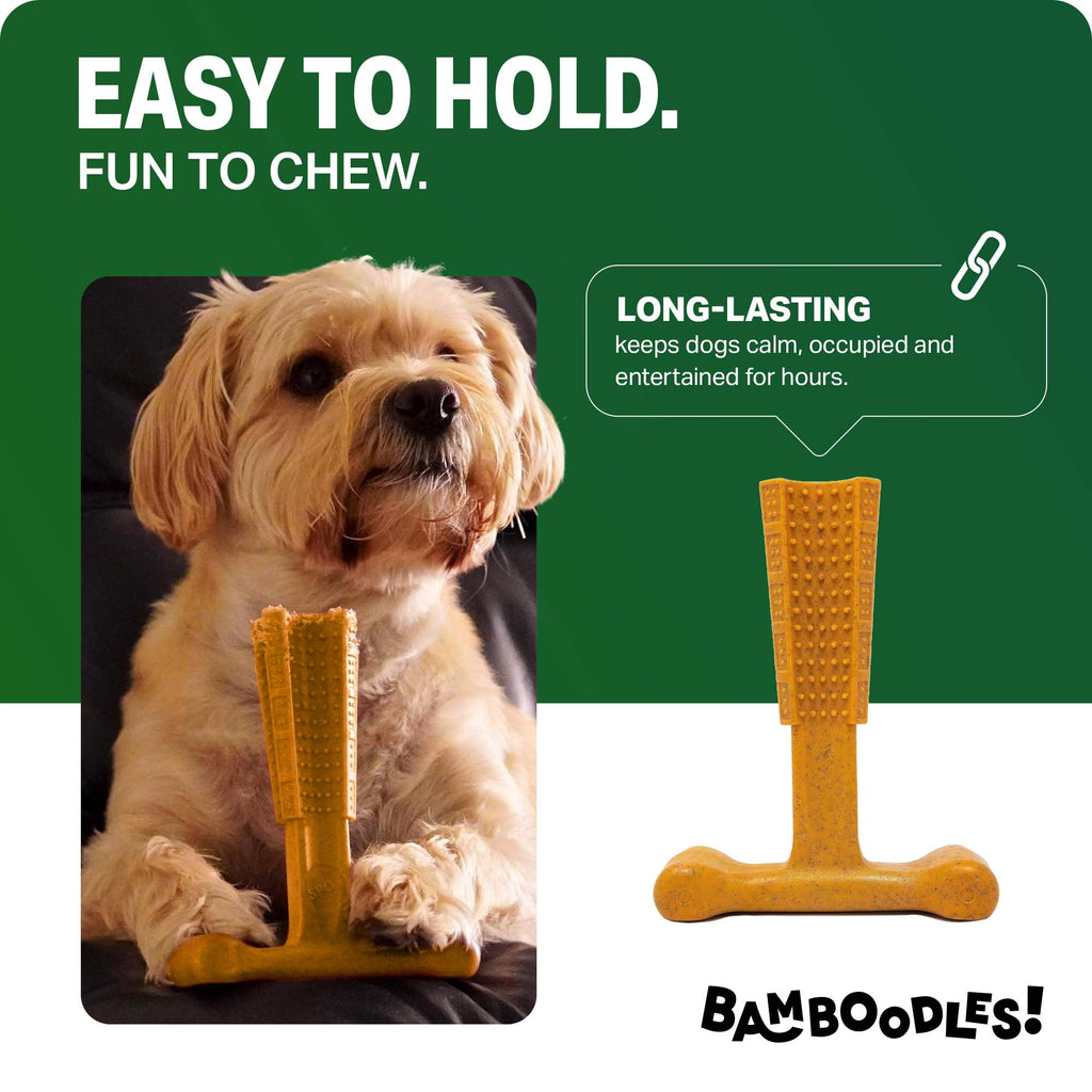 Bamboodles T-Bone Dog Chew Toy – Small | Chicken Flavour | Long Lasting Chew toy for Small Dogs | Durable Chew Toy to Satisfy Chewing Instincts