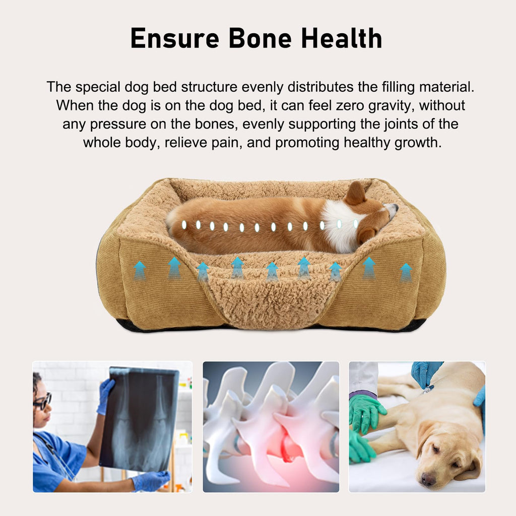 JOEJOY Dog Cat Bed Medium Pet Sofa Bed, Medium Dog Bed Washable, 63x53x21cm