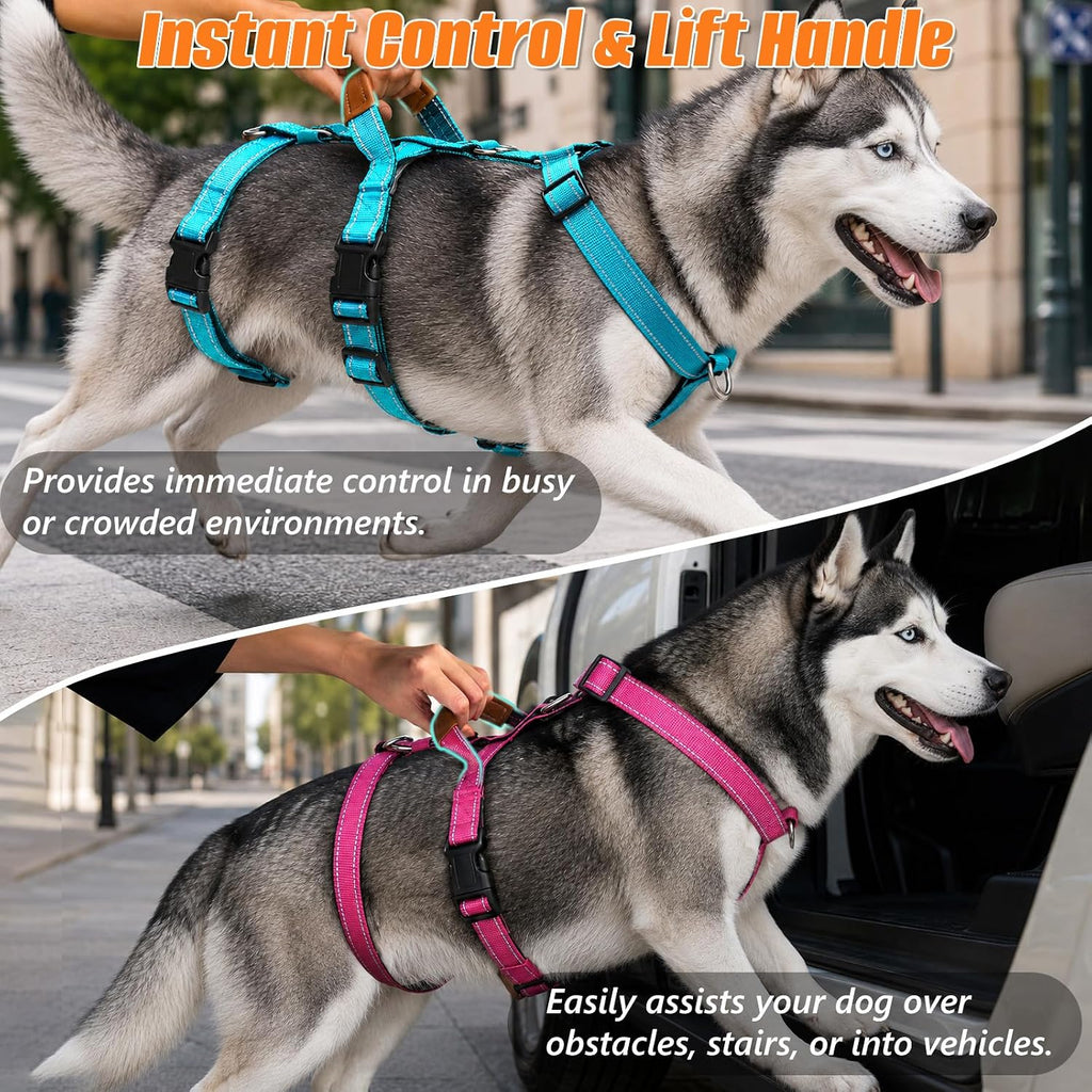 Escape Proof Dog Harness with Front Clip for Medium and Large Dogs