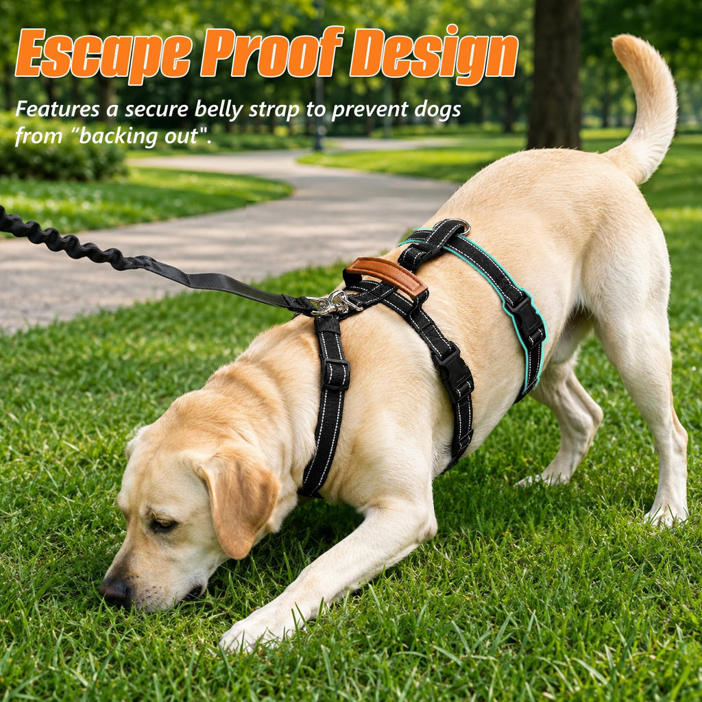 Escape Proof Dog Harness with Front Clip for Medium and Large Dogs