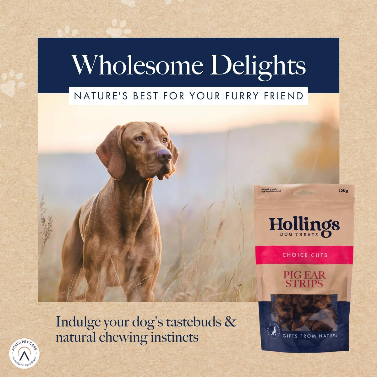 Hollings Pig Ear Strips Dog Treats, 100% Natural Air Dried Long Lasting Chews for Adult Dogs, Grain Free & High in Protein (150g)