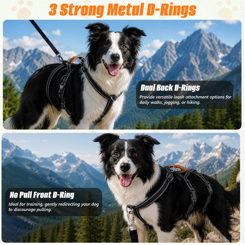Escape Proof Dog Harness with Front Clip for Medium and Large Dogs