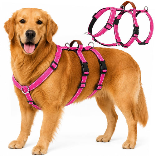 Escape Proof Dog Harness with Front Clip for Medium and Large Dogs