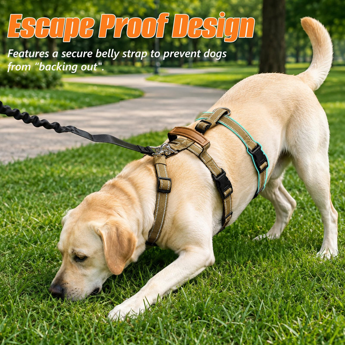 Escape Proof Dog Harness with Front Clip for Medium and Large Dogs