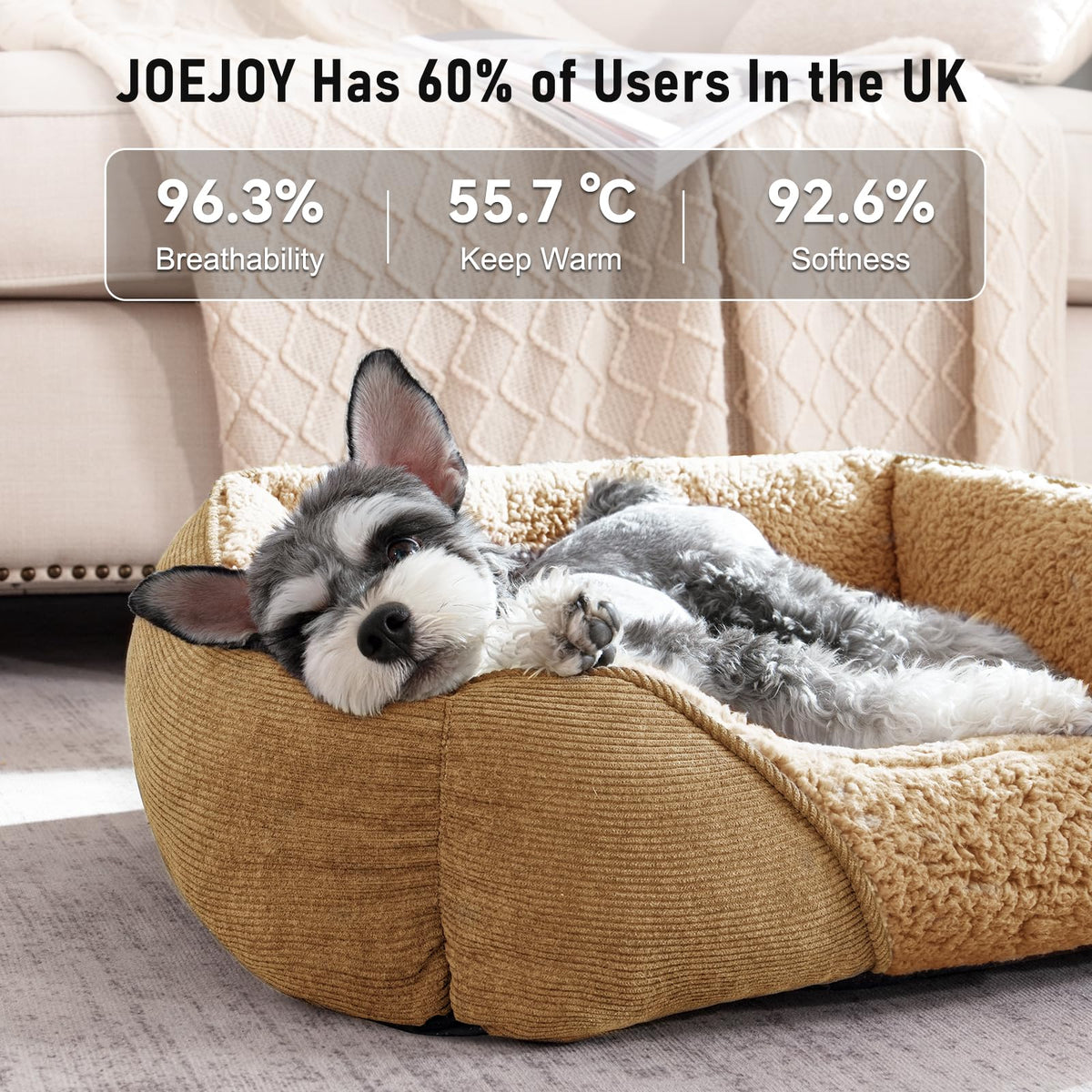 JOEJOY Dog Cat Bed Medium Pet Sofa Bed, Medium Dog Bed Washable, 63x53x21cm