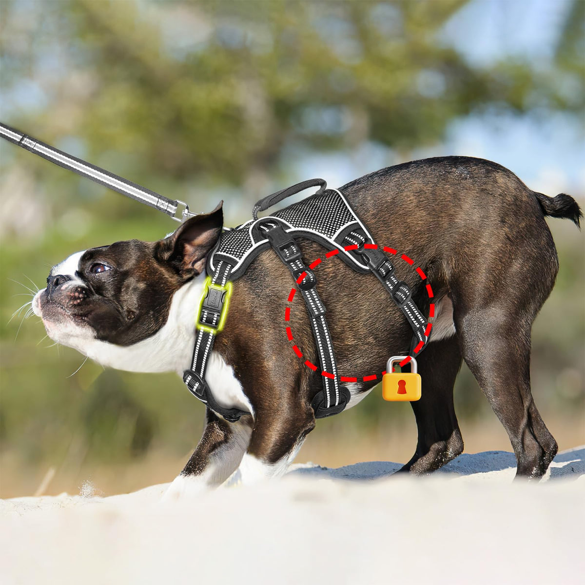 HEELE Dog Harness Escape Proof, Release on Neck, No Pull Reflective Adjustable Vest with Durable Handle, Vest Harness for Outdoor Training Walking, Harness for Medium/Active Dogs, Green, M