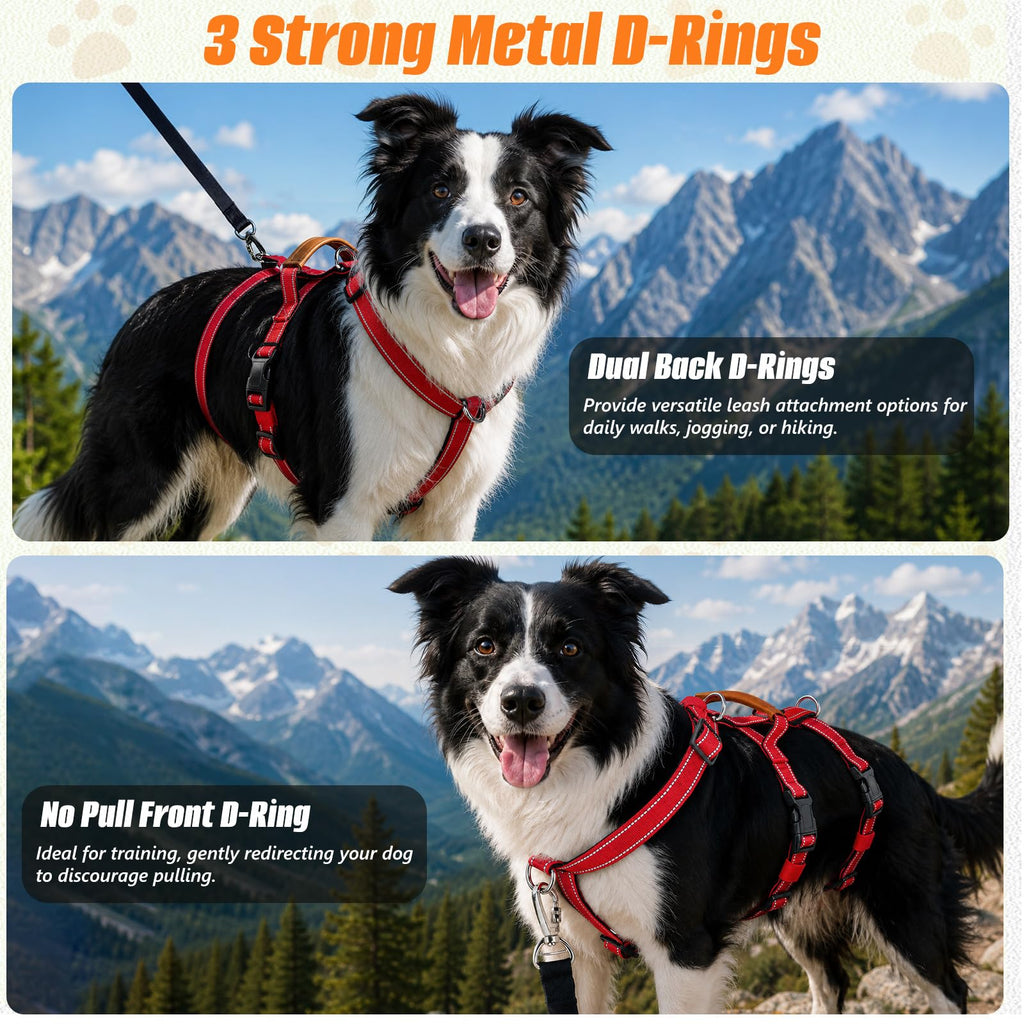 Escape Proof Dog Harness with Front Clip for Medium and Large Dogs