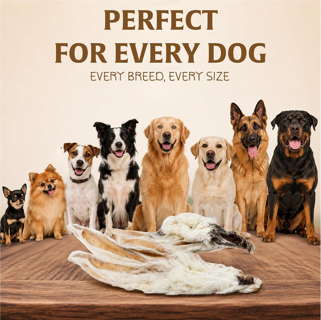 PAWLICIOUS Rabbit Ears with Fur for Dogs 200g, 100% Natural Air-Dried Treat Chew for Dog, Puppy & Senior Healthy & Hypoallergenic Dog Food Grain & Gluten Free Pet Treats