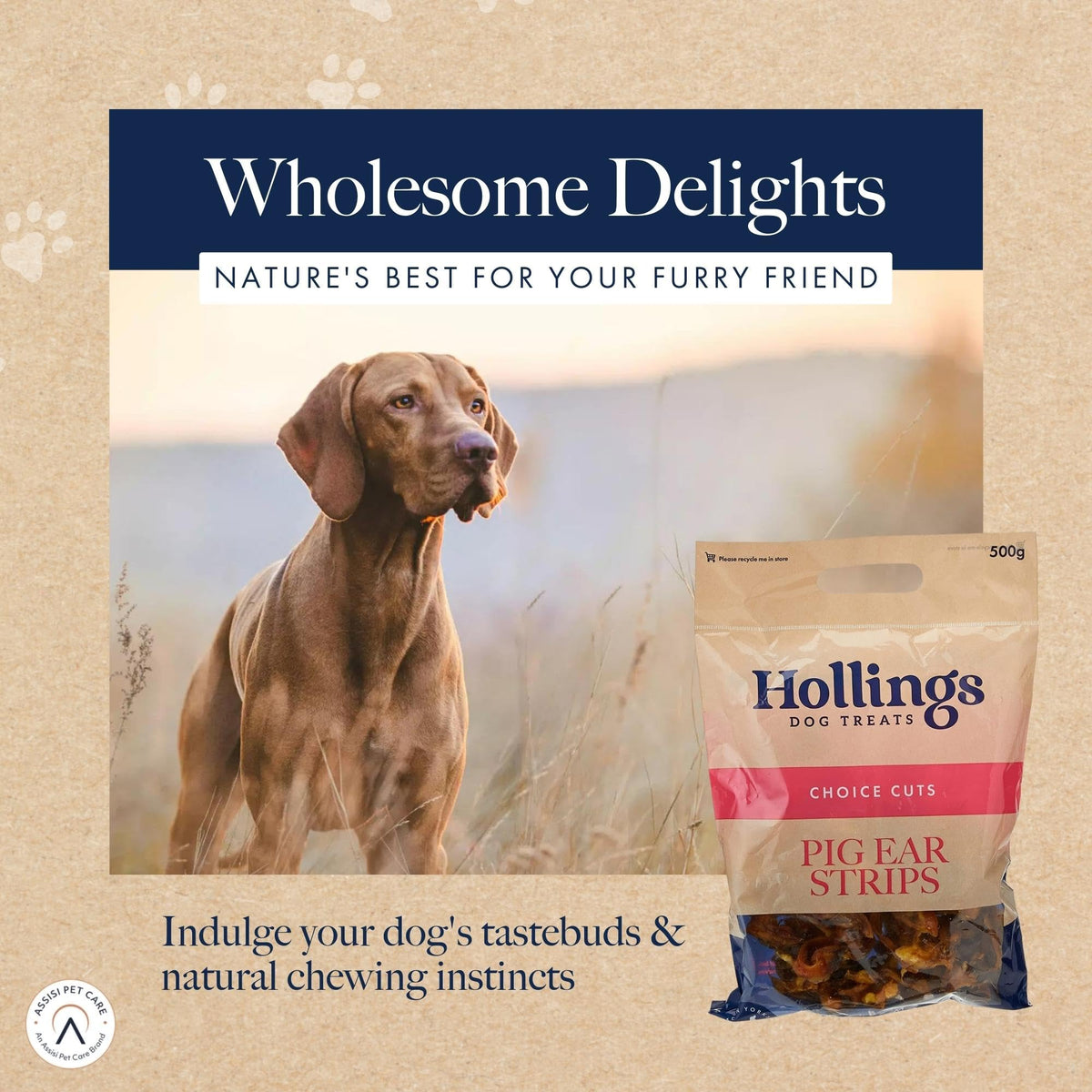 Hollings Pig Ear Strips Dog Treats, 100% Natural Air Dried Long Lasting Chews for Adult Dogs, Grain Free & High in Protein (150g)