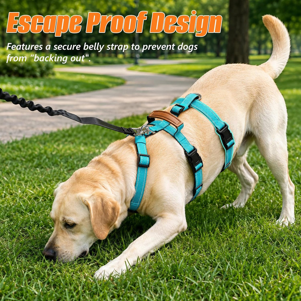 Escape Proof Dog Harness with Front Clip for Medium and Large Dogs