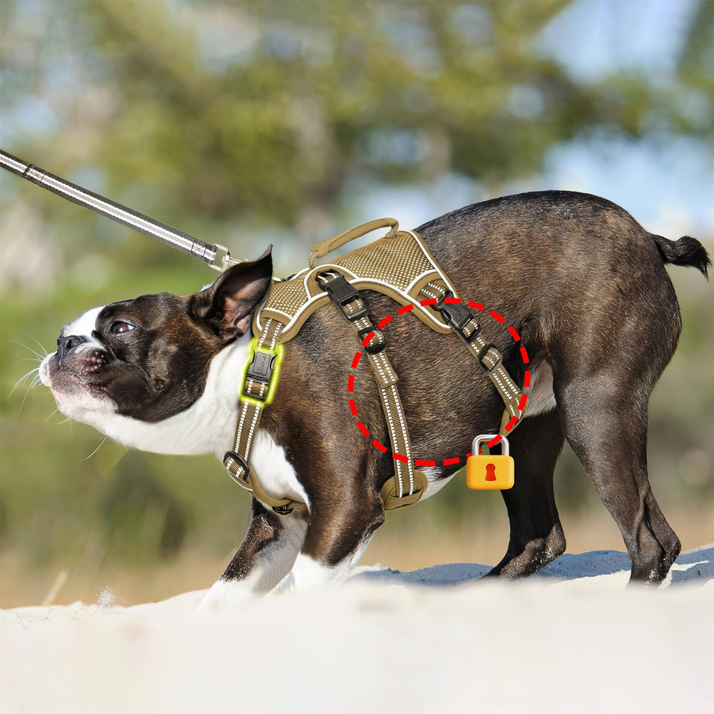 HEELE Dog Harness Escape Proof, Release on Neck, No Pull Reflective Adjustable Vest with Durable Handle, Vest Harness for Outdoor Training Walking, Harness for Medium/Active Dogs, Green, M