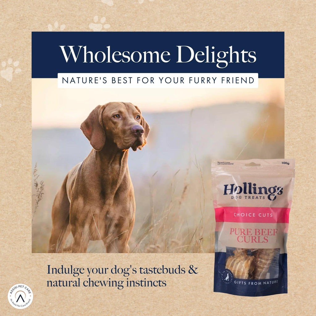 Hollings Beef Curls Dog Treats, All Natural Grain Free & Easily Digestible Air Dried Treats for Adult Dogs, Made From 100% Beef Trachea, 100 g