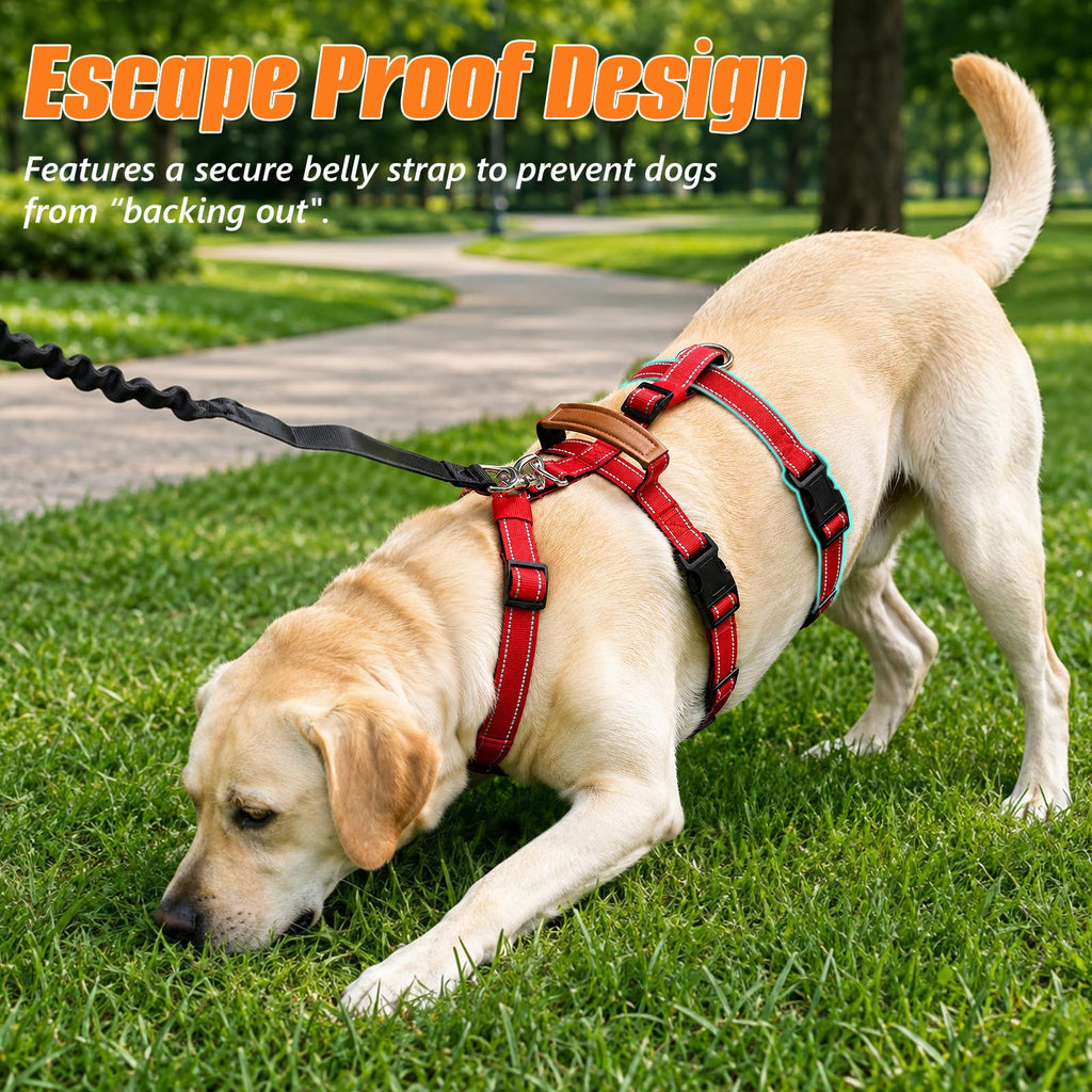 Escape Proof Dog Harness with Front Clip for Medium and Large Dogs