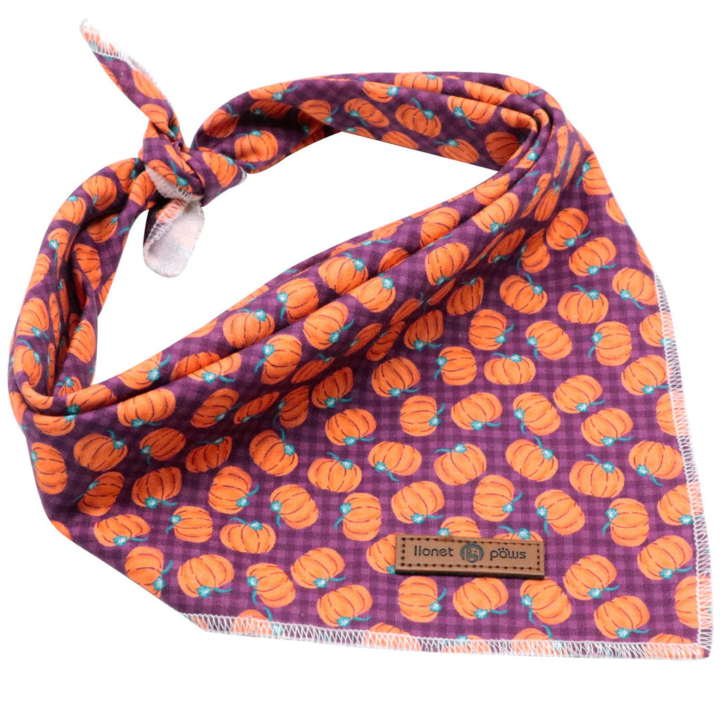 Lionet Paws Dog Bandana for Small Medium Large Dogs, Cat Dog Kerchief Dog Triangle Bibs Scarf for Girl or Boy Blue Dot