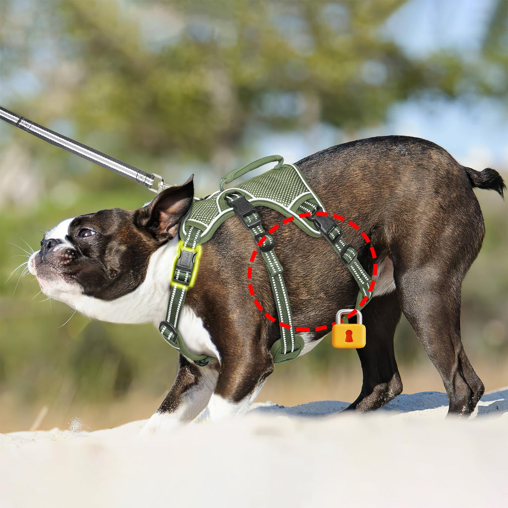 HEELE Dog Harness Escape Proof, Release on Neck, No Pull Reflective Adjustable Vest with Durable Handle, Vest Harness for Outdoor Training Walking, Harness for Medium/Active Dogs, Green, M