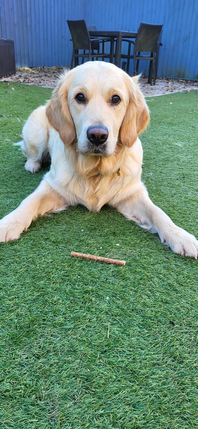 Pure & Natural Deer Meaty Sticks - 100% Natural Dog Treats, Venison Chews for Hypoallergenic, Grain-Free Snack for Medium Dogs - 100g Bag
