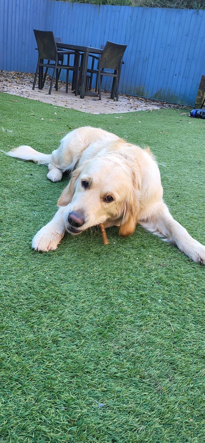 Pure & Natural Deer Meaty Sticks - 100% Natural Dog Treats, Venison Chews for Hypoallergenic, Grain-Free Snack for Medium Dogs - 100g Bag