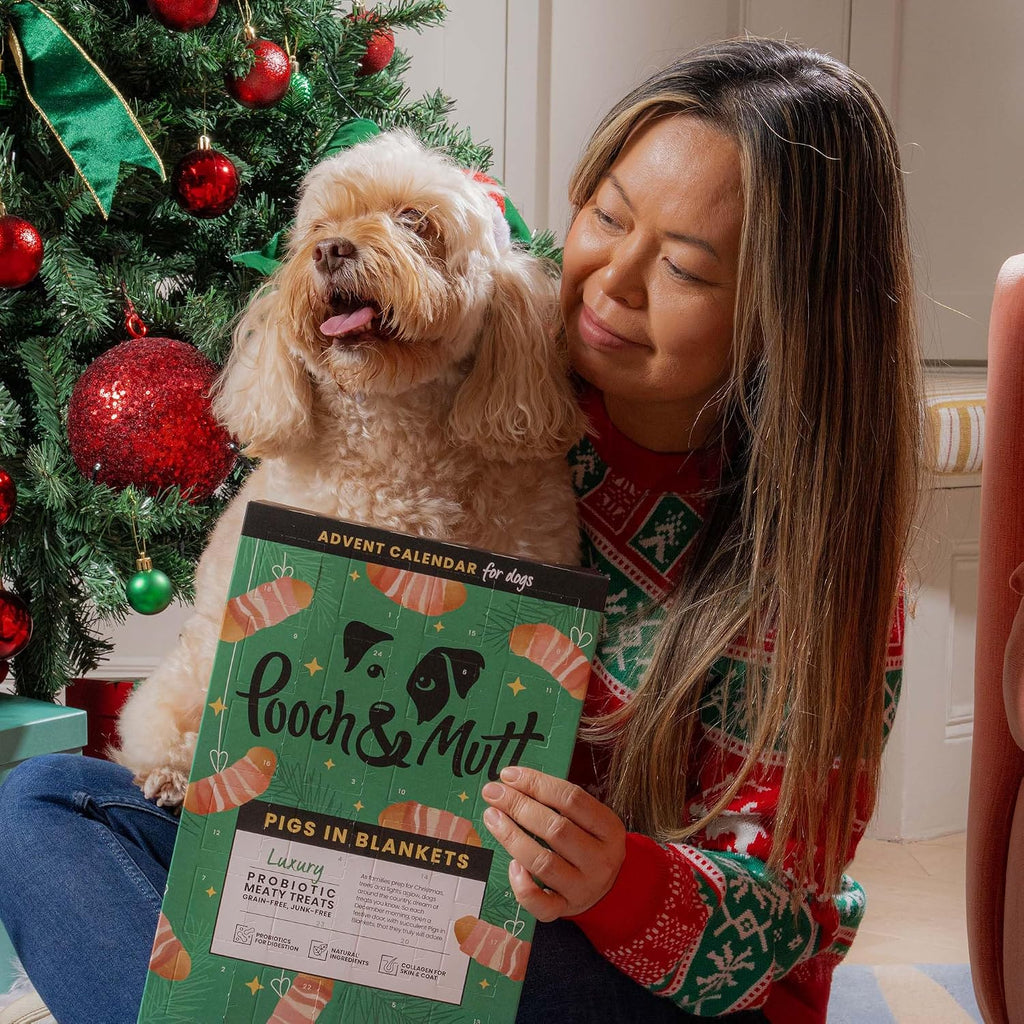 Pooch & Mutt - Christmas Advent Calendar for Dogs, Meaty Treats